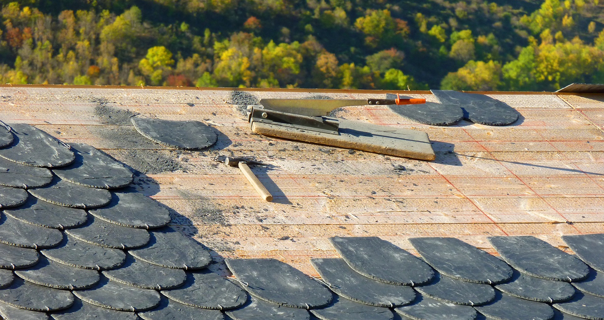 Roofing Modesto Pro business image