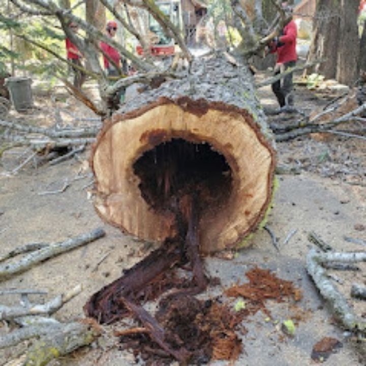 Jeremiah's Tree Service business image
