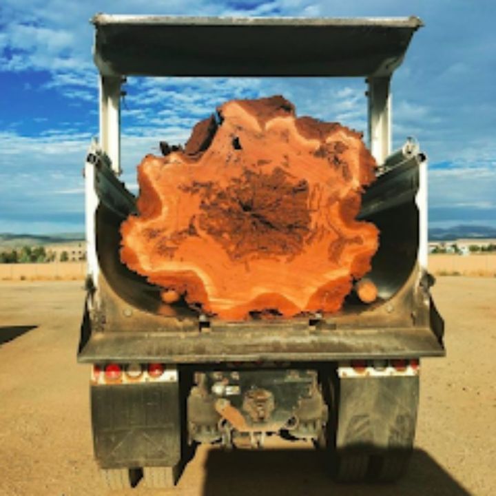 Jeremiah's Tree Service business image