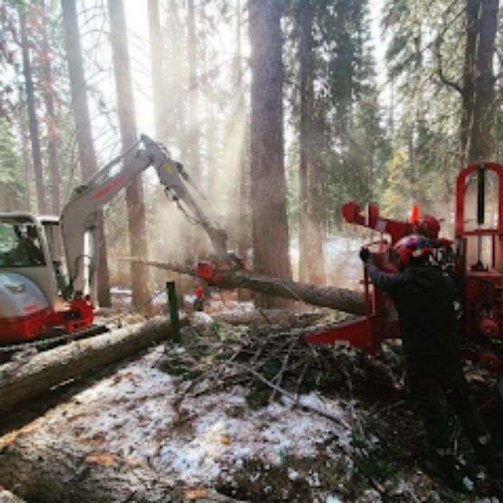 Jeremiah's Tree Service business image