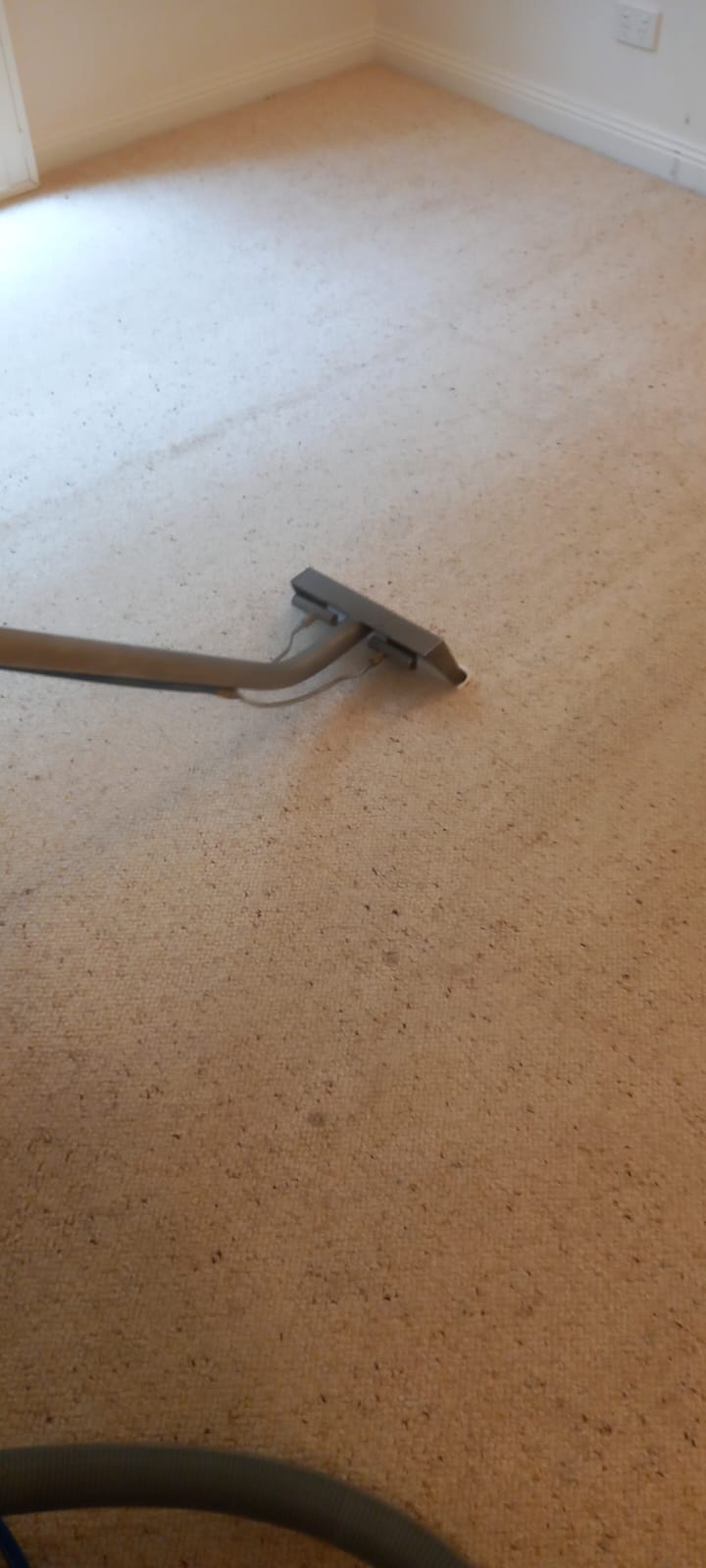 AXZ Cleaning Services business image