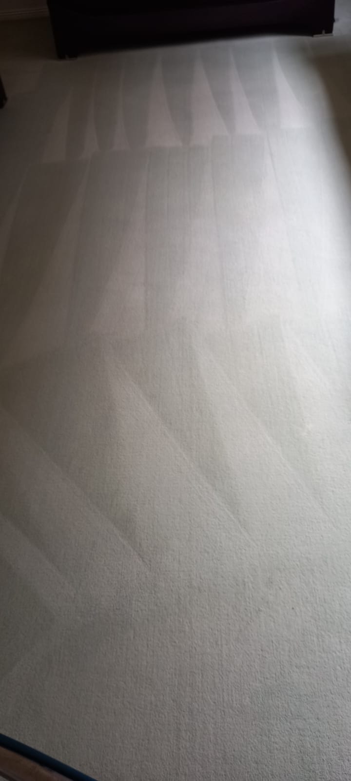 AXZ Cleaning Services business image