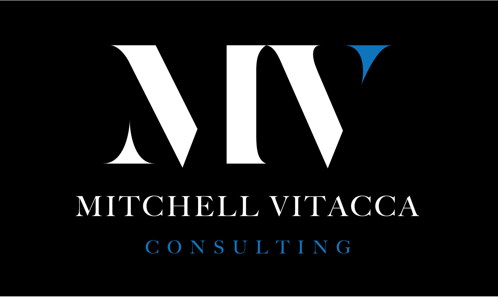 Mitchell Vitacca Consulting business image