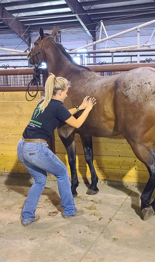 Triggerpoint Equine & K9 Sports Massage Therapy business image
