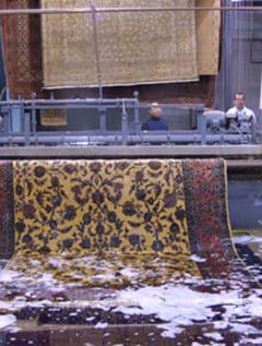 Oriental Rug Specialists business image