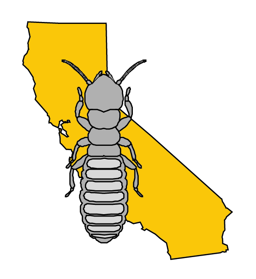 Hume Termite business image