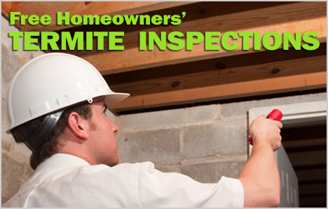 Hume Termite business image