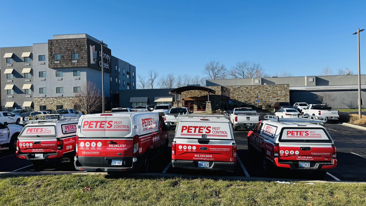 Pete's Pest Control - Saint  Joseph, MO business image