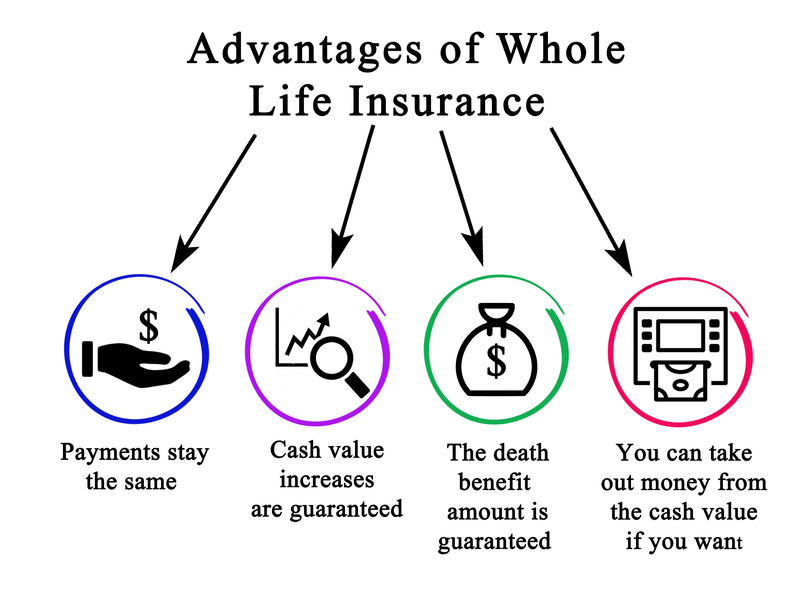St Marys Life Insurance Experts business image